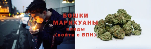 бутират Белокуриха