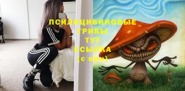 бутират Белокуриха