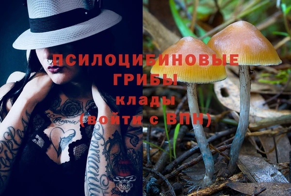 ECSTASY Балахна
